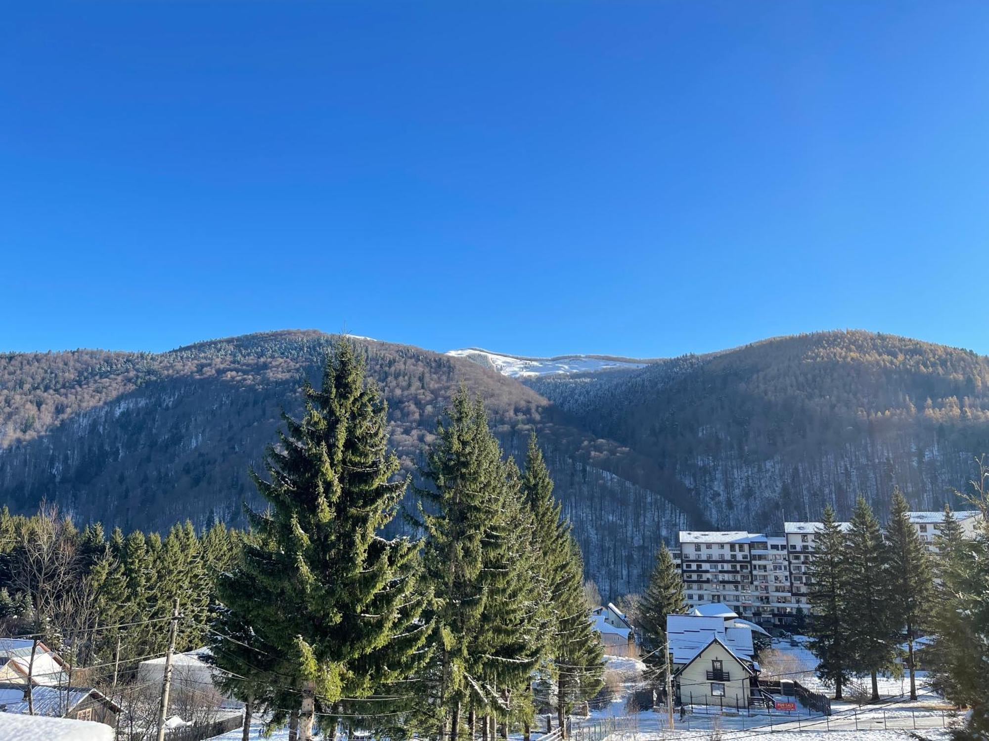 The Nest Apartment Sinaia Exterior photo